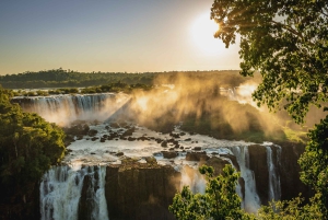 Cascate di Iguassu: tour di 1 giorno sui lati brasiliano e argentino