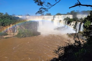 Visite privée d'une journée aux chutes d'Iguassu : Les deux côtés, le même jour !