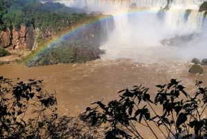 Privat tur til Iguassu-vandfaldene: Begge sider, samme dag!