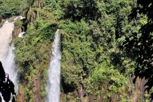 Iguassu Waterfalls Private Day Tour: Both sides, same day!