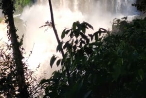 Iguassu Waterfalls Private Day Tour: Both sides, same day!