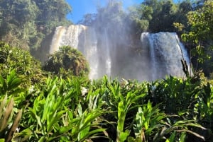 Privat dagstur til Iguassu-fossene: Begge sider, samme dag!