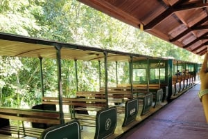 Tour privado de un día por las cataratas de Iguazú: Ambos lados, ¡el mismo día!