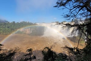 Visite privée d'une journée aux chutes d'Iguassu : Les deux côtés, le même jour !