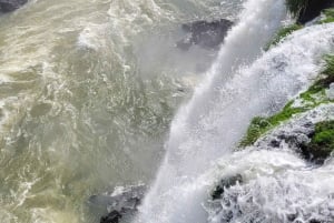 Visite privée d'une journée aux chutes d'Iguassu : Les deux côtés, le même jour !