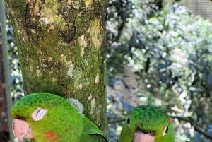 Tour privato delle Cascate di Iguassu: Entrambi i lati, lo stesso giorno!