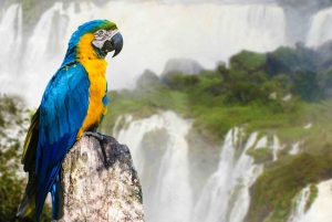 Chutes d'Iguazu : 2 jours de chutes d'Iguazu argentines et brésiliennes
