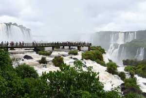 Chutes d'Iguazu : 2 jours de chutes d'Iguazu argentines et brésiliennes