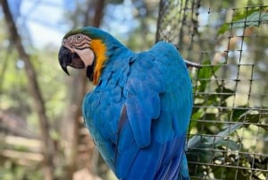 Cataratas do Iguaçu: Combo de 2 dias para Argentina/Brasil/Parque das Aves