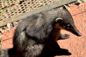 Iguazu Falls: 2-Day Combo to Argentine/Brazilian/Bird Park