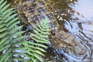 Водопады Игуасу: 2-дневное комбо в Аргентину/Бразильию/Парк птиц