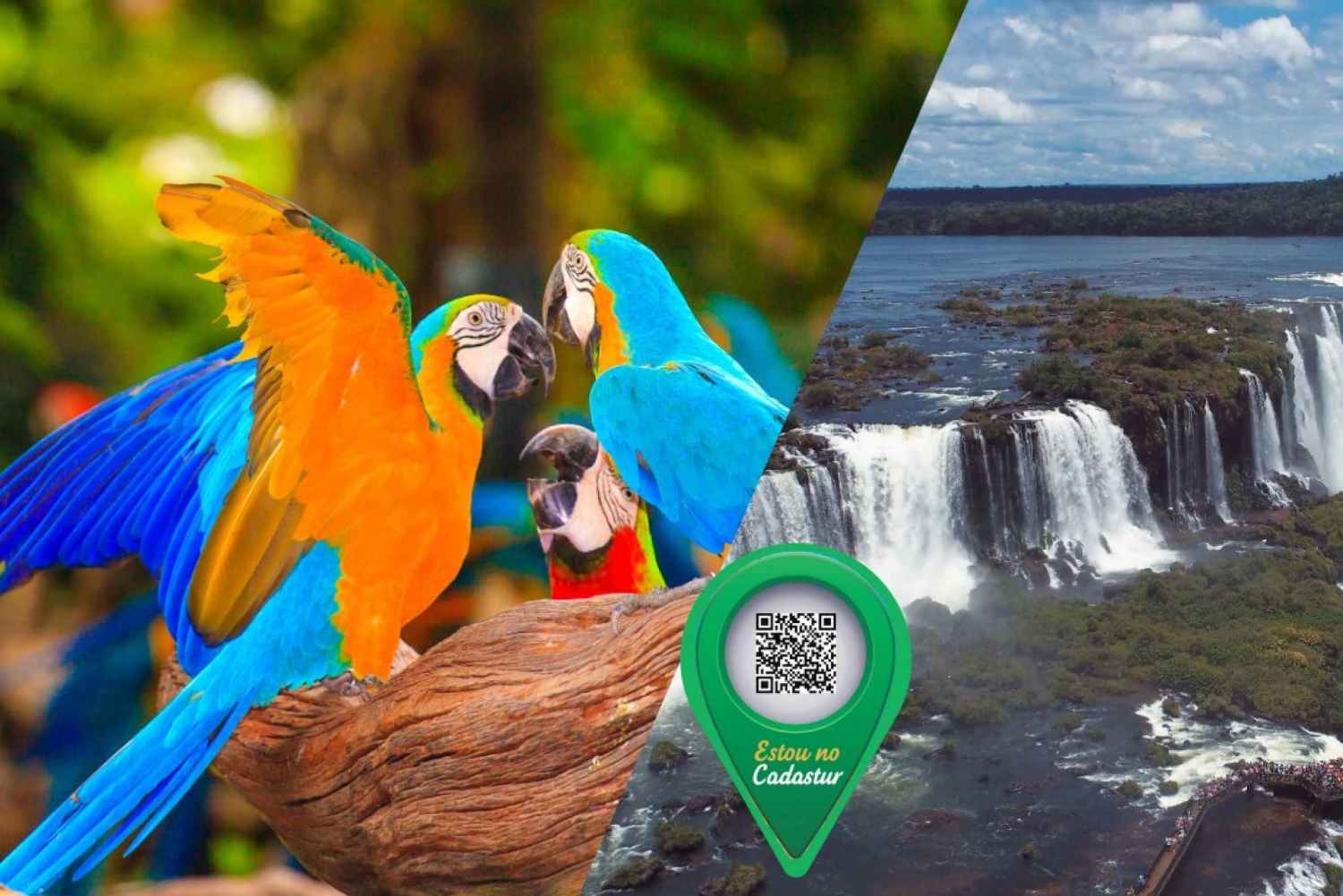 Cataratas de Iguazú y Parque de las Aves: Foz do Iguaçu - Brasil