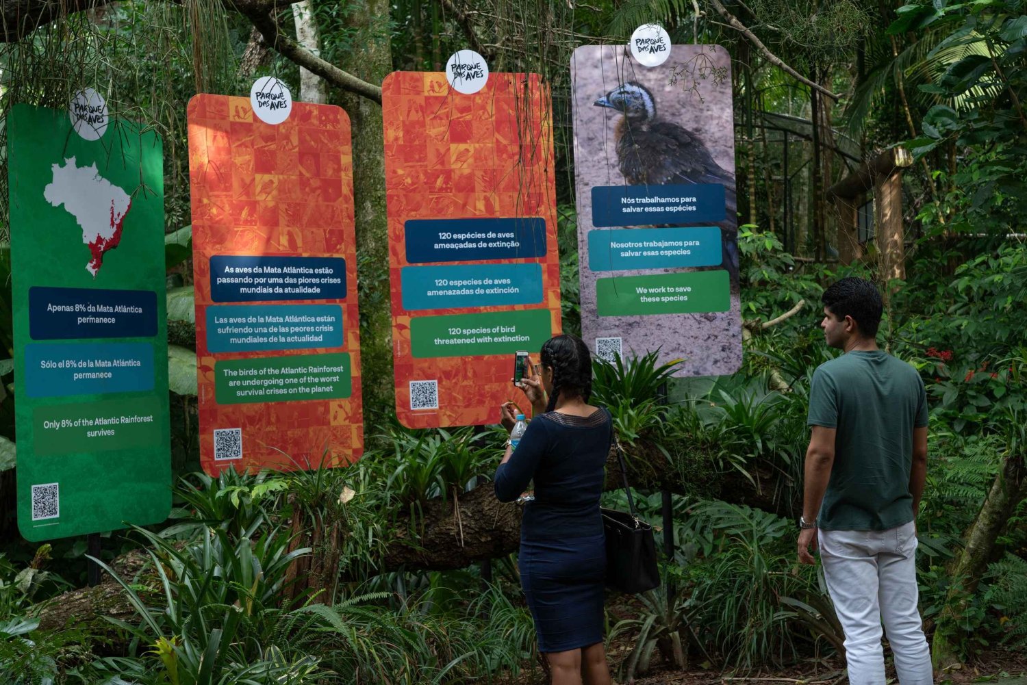 Cataratas del Iguazú y parque de aves en un autobús turístico