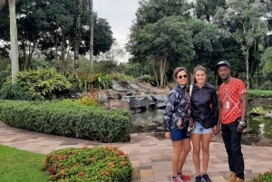 Iguazu Falls and Triple Border Tour (Brazil and Argentina)