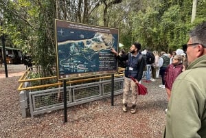 Tour por las Cataratas del Iguazú Argentinas y tour en barco de Gran Aventura