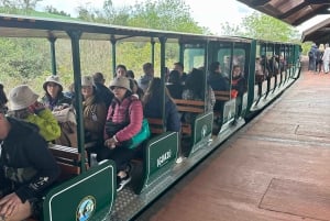 Circuit des chutes d'Iguazu en Argentine et tour en bateau de la Grande Aventure