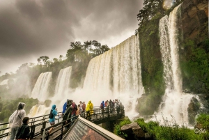 Wycieczka po argentyńskiej stronie wodospadu Iguazu i przejażdżka ekologicznym pociągiem