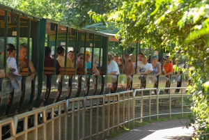 Wycieczka po argentyńskiej stronie wodospadu Iguazu i przejażdżka ekologicznym pociągiem