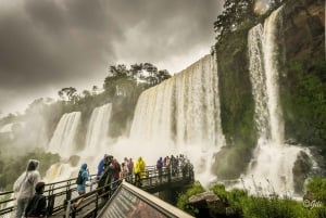Chutes d'Iguazu : Visite de l'Argentine depuis Puerto Iguazu