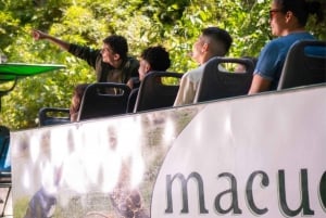 Iguazu Falls Guided:Tour Explore Brazil & Argentina in 1 Day