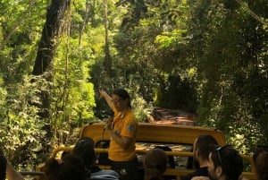Iguazu-fossen: Båttur til Gran Aventura og fossefall