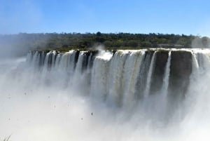 Chutes d'Iguazú : bateau Aventura et cascades argentines