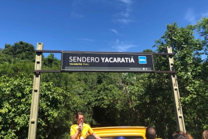 Водопады Игуасу: Экскурсия на лодке Гран Авентура и Аргентинские водопады