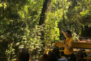Водопады Игуасу: Экскурсия на лодке Гран Авентура и Аргентинские водопады
