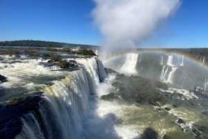Wodospady Iguazu z przewodnikiem: wycieczka Odkryj Brazylię i Argentynę w 1 dzień
