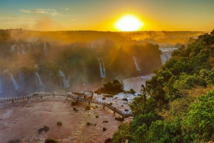 Wodospady Iguazu z przewodnikiem: wycieczka Odkryj Brazylię i Argentynę w 1 dzień