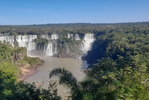 Wodospady Iguazu z przewodnikiem: wycieczka Odkryj Brazylię i Argentynę w 1 dzień