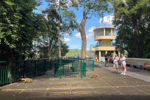 Wodospady Iguazu z przewodnikiem: wycieczka Odkryj Brazylię i Argentynę w 1 dzień