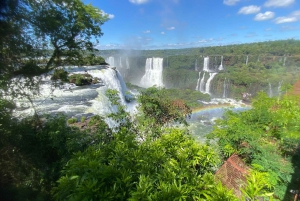 Wodospady Iguazu z przewodnikiem: wycieczka Odkryj Brazylię i Argentynę w 1 dzień