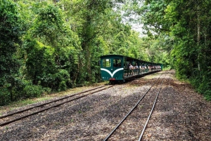 Wodospady Iguazu z przewodnikiem: wycieczka Odkryj Brazylię i Argentynę w 1 dzień