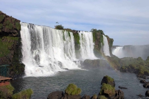Wodospady Iguazu z przewodnikiem: wycieczka Odkryj Brazylię i Argentynę w 1 dzień