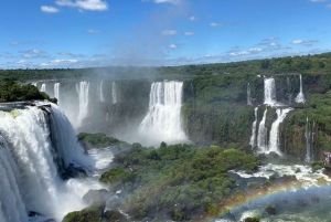 Wodospady Iguazu z przewodnikiem: wycieczka Odkryj Brazylię i Argentynę w 1 dzień