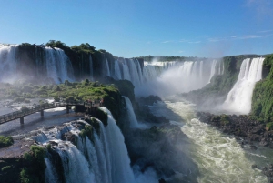 Wodospady Iguazu z przewodnikiem: wycieczka Odkryj Brazylię i Argentynę w 1 dzień