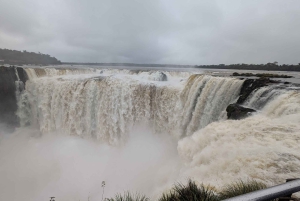 Wodospady Iguazu z przewodnikiem: wycieczka Odkryj Brazylię i Argentynę w 1 dzień