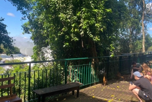 Wodospady Iguazu z przewodnikiem: wycieczka Odkryj Brazylię i Argentynę w 1 dzień