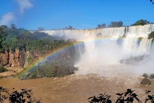 Wodospady Iguazu: Wycieczka z przewodnikiem po argentyńskiej stronie