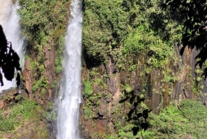 Chutes d'Iguazu : Visite guidée du côté argentin