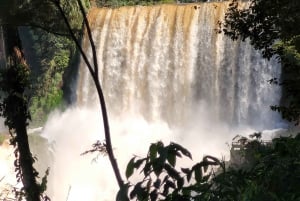 Iguazun putoukset: Iguazuusin putoukset: Opastettu kierros Argentiinan puolella