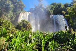 Die Iguazu-Fälle: Geführte Tour auf argentinischer Seite