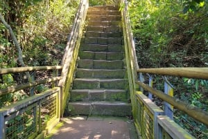 Iguazu-fossene: Guidet tur på den argentinske siden