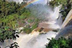 Wodospady Iguazu: Wycieczka z przewodnikiem po argentyńskiej stronie