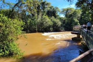 Die Iguazu-Fälle: Geführte Tour auf argentinischer Seite