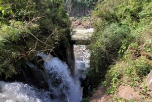 Iguazu-fossene: Guidet tur på den argentinske siden