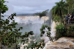 Iguazun putoukset: Iguazuusin putoukset: Opastettu kierros Argentiinan puolella