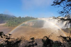 Iguazun putoukset: Iguazuusin putoukset: Opastettu kierros Argentiinan puolella