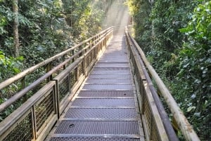 Die Iguazu-Fälle: Geführte Tour auf argentinischer Seite